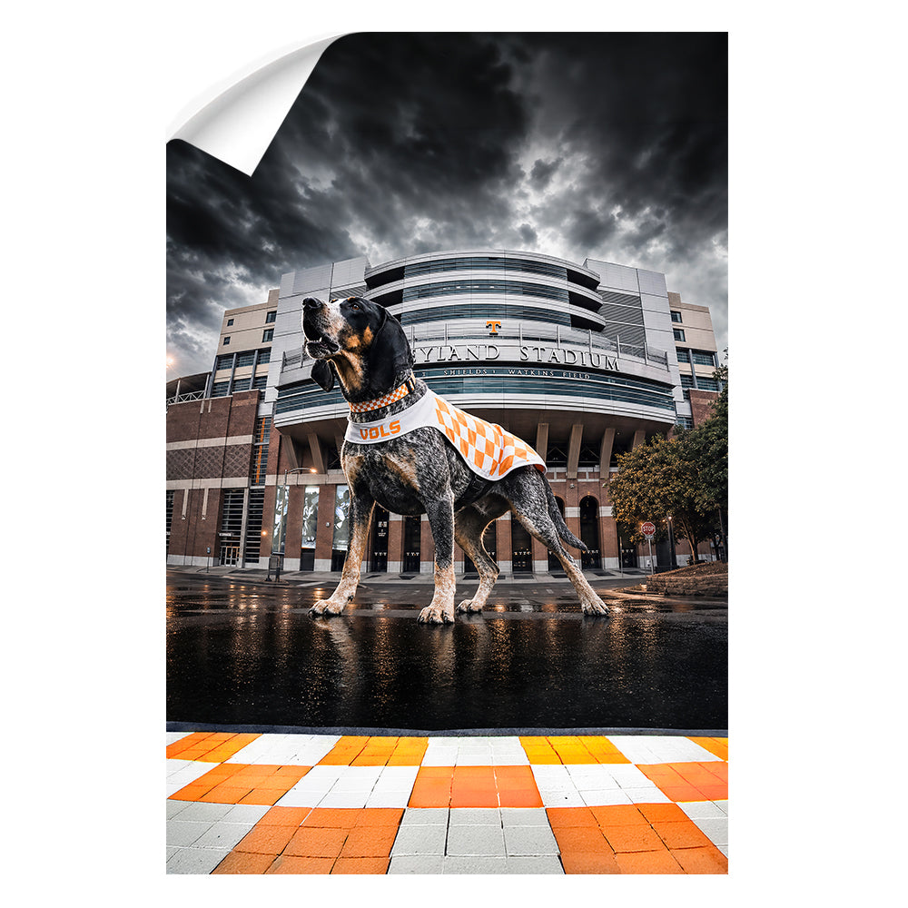 Tennessee Volunteers - Defend Rocky Top - Vol Wall Art #Wall Decal