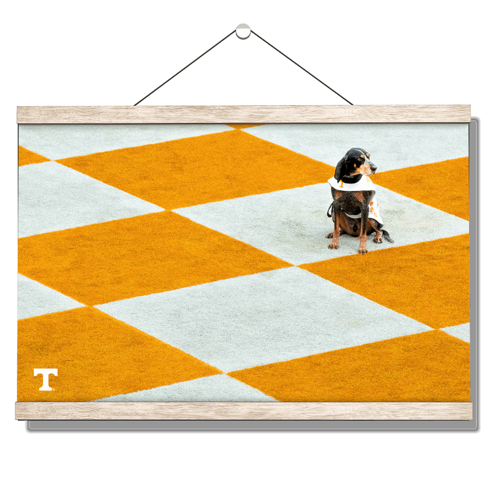 Tennessee Volunteers - Checkerboard Smokey - College Wall Art #Canvas