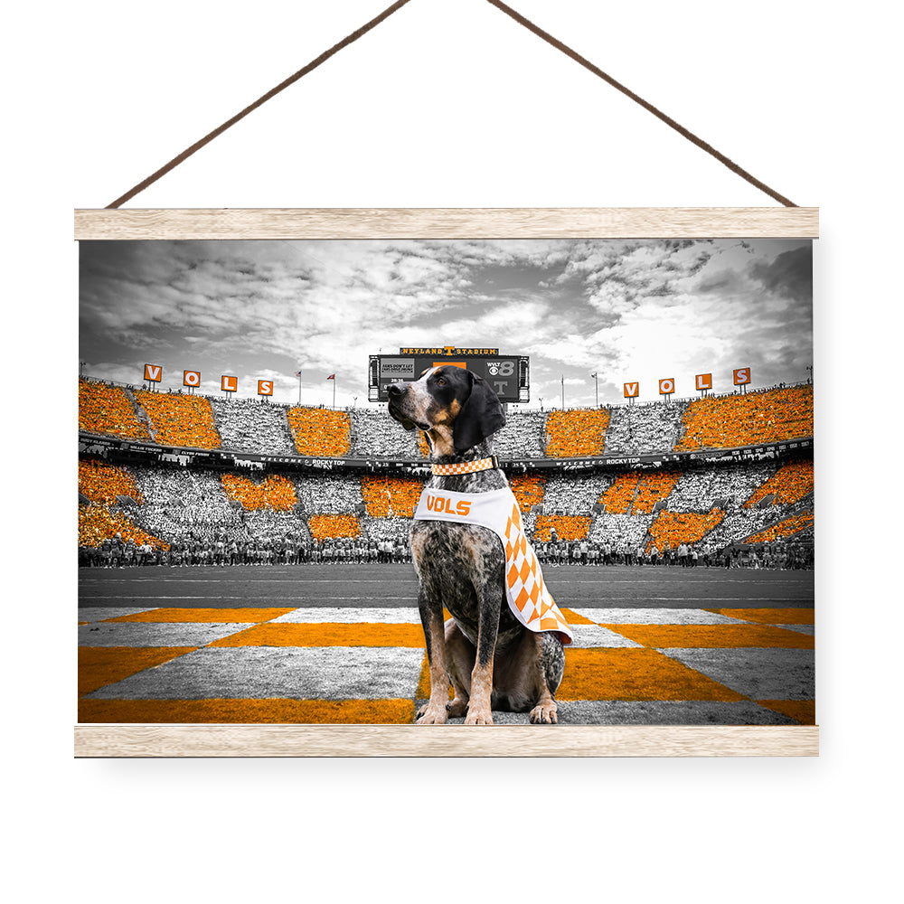 Tennessee Volunteers - Smokey's Watch - Vol Wall Art #Hanging Canvas