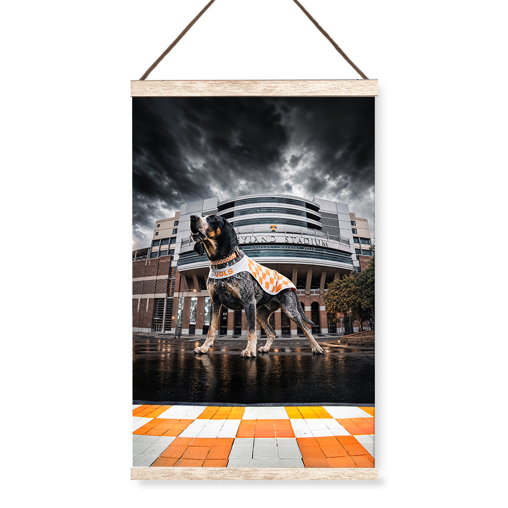 Tennessee Volunteers - Defend Rocky Top - Vol Wall Art #Hanging Canvas