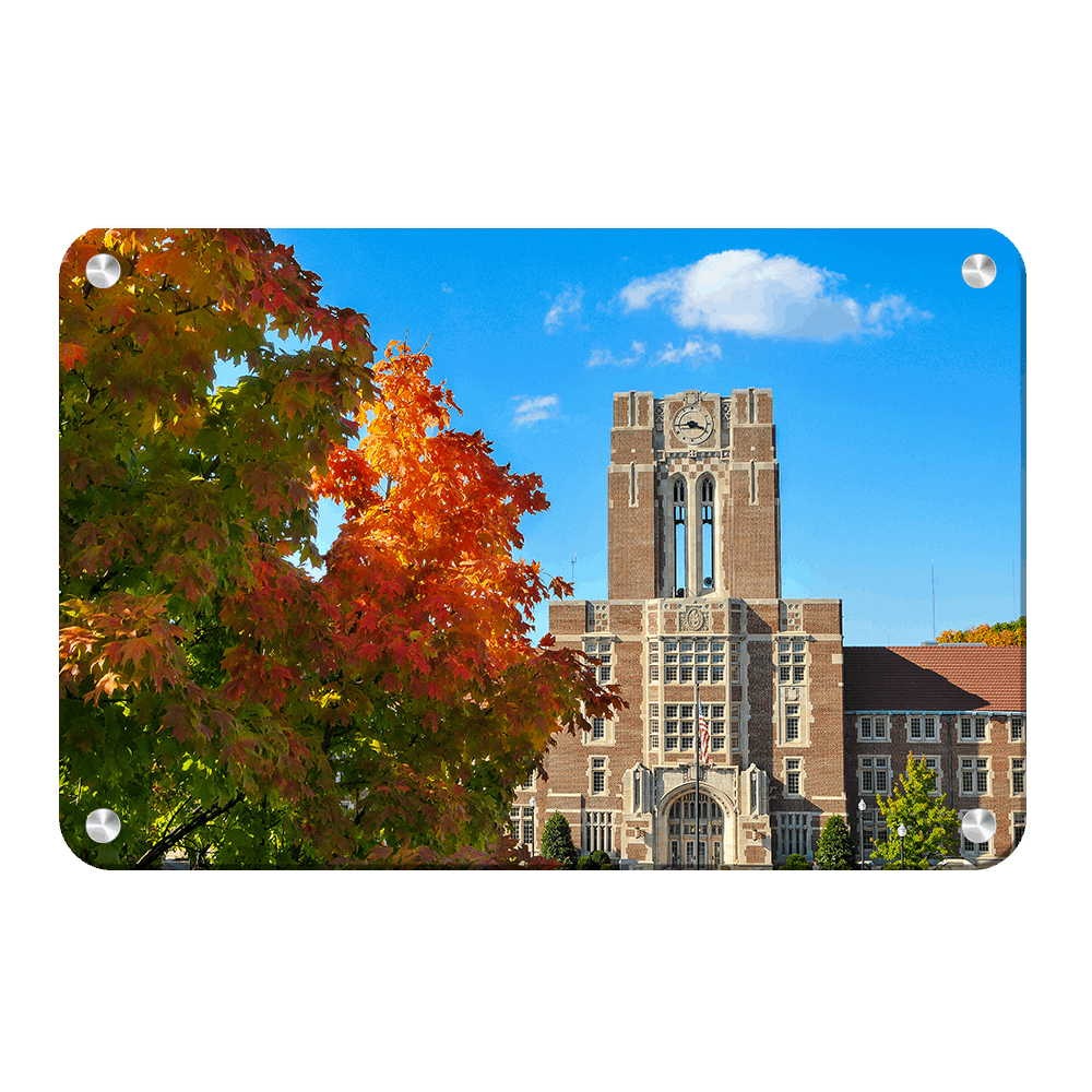 Tennessee Volunteers - Ayres Fall - College Wall Art #Canvas