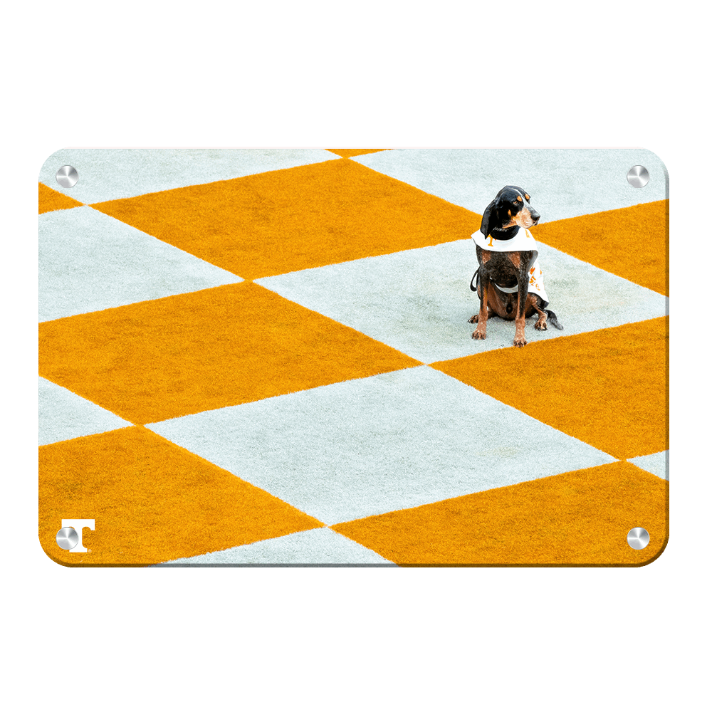 Tennessee Volunteers - Checkerboard Smokey - College Wall Art #Canvas