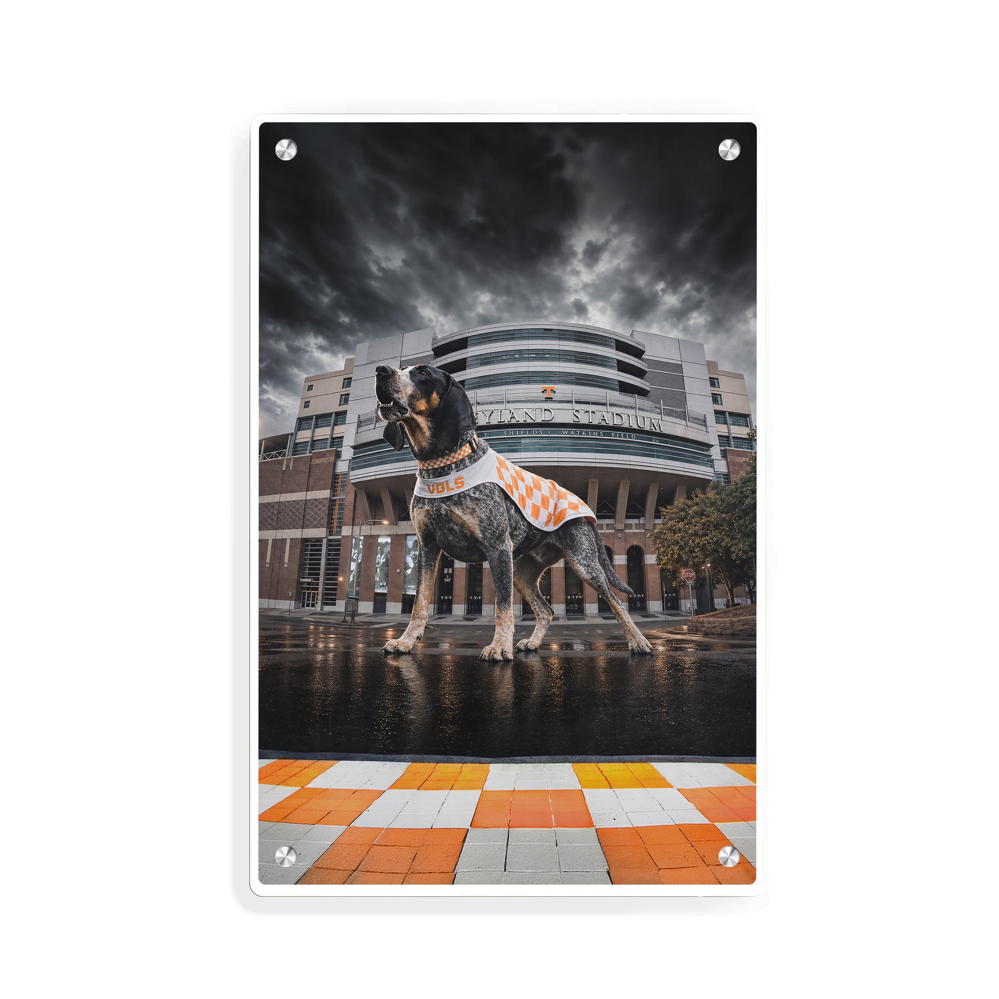 Tennessee Volunteers - Defend Rocky Top - Vol Wall Art #Metal