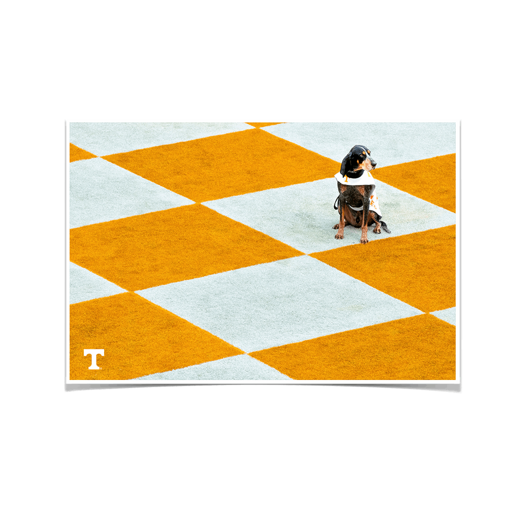 Tennessee Volunteers - Checkerboard Smokey - College Wall Art #Canvas