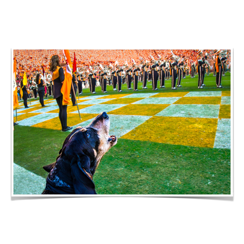 Tennessee Volunteers - Smokey X - College Wall Art #Canvas
