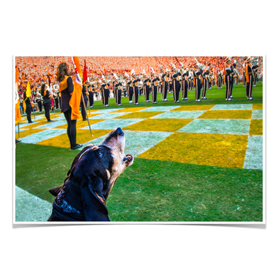 Tennessee Volunteers - Smokey X - College Wall Art #Poster