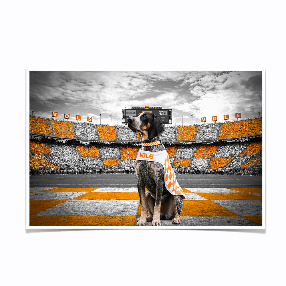 Tennessee Volunteers - Smokey's Watch - Vol Wall Art #Poster