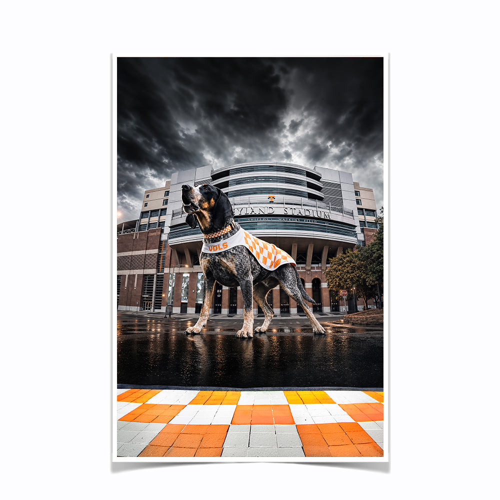 Tennessee Volunteers - Defend Rocky Top - Vol Wall Art #Canvas
