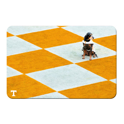 Tennessee Volunteers - Checkerboard Smokey