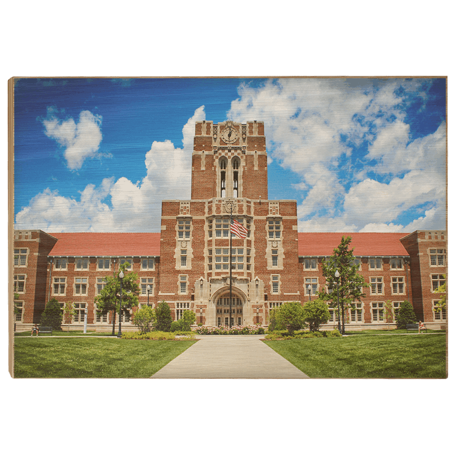 Tennessee Volunteers - Ayres Color - College Wall Art #Canvas