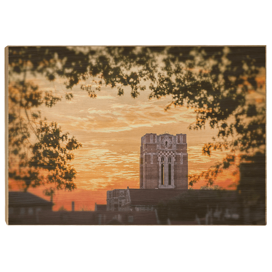 Tennessee Volunteers - Ayres Blaze - College Wall Art #Canvas