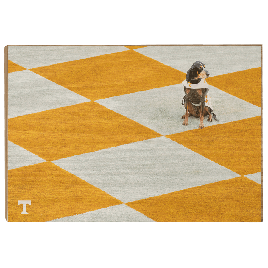Tennessee Volunteers - Checkerboard Smokey - College Wall Art #Canvas