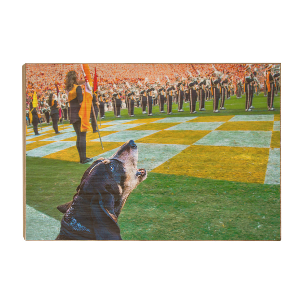 Tennessee Volunteers - Smokey X - College Wall Art #Canvas