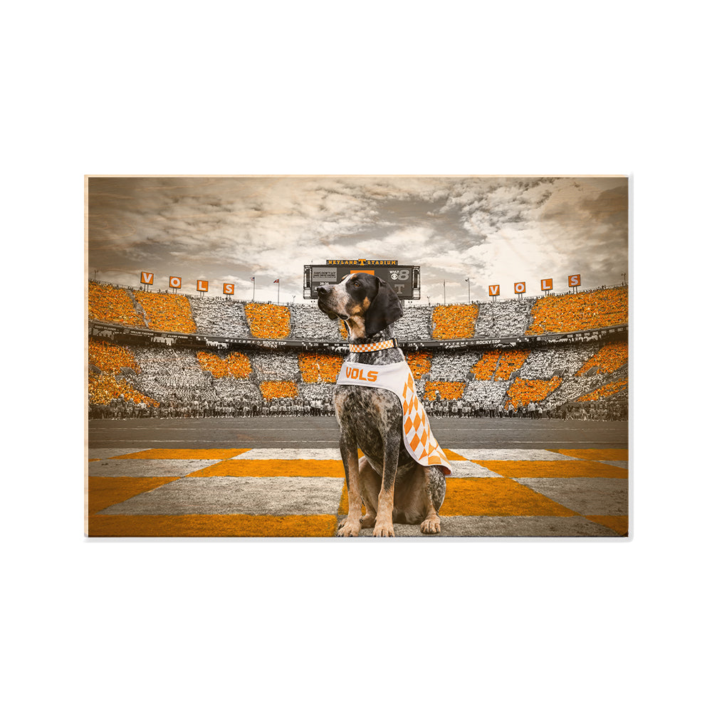 Tennessee Volunteers - Smokey's Watch - Vol Wall Art #Wood