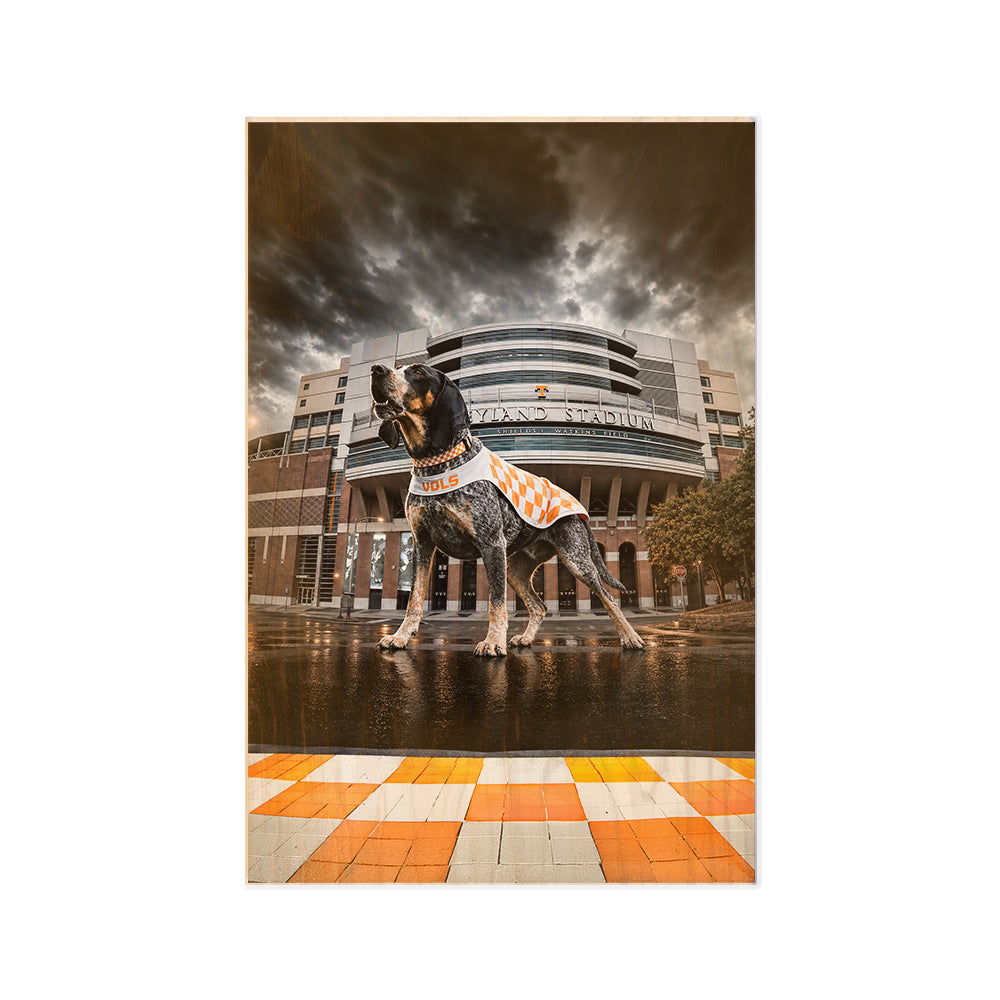 Tennessee Volunteers - Defend Rocky Top - Vol Wall Art #Wood
