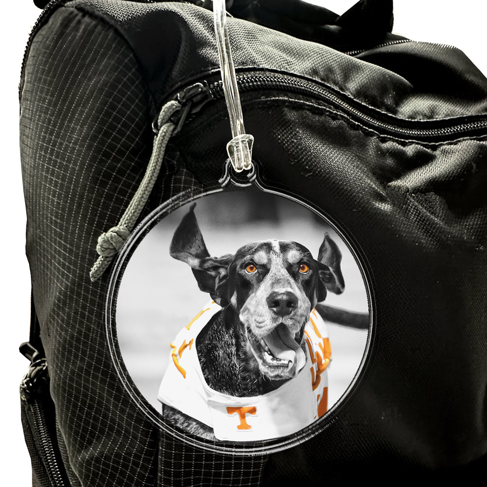 Tennessee Volunteers - Smokey TD Ornament & Bag Tag