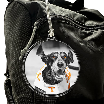 Tennessee Volunteers - Smokey TD Ornament & Bag Tag