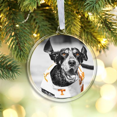 Tennessee Volunteers - Smokey TD Ornament & Bag Tag