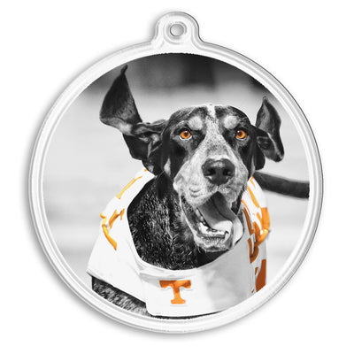 Tennessee Volunteers - Smokey TD Ornament & Bag Tag