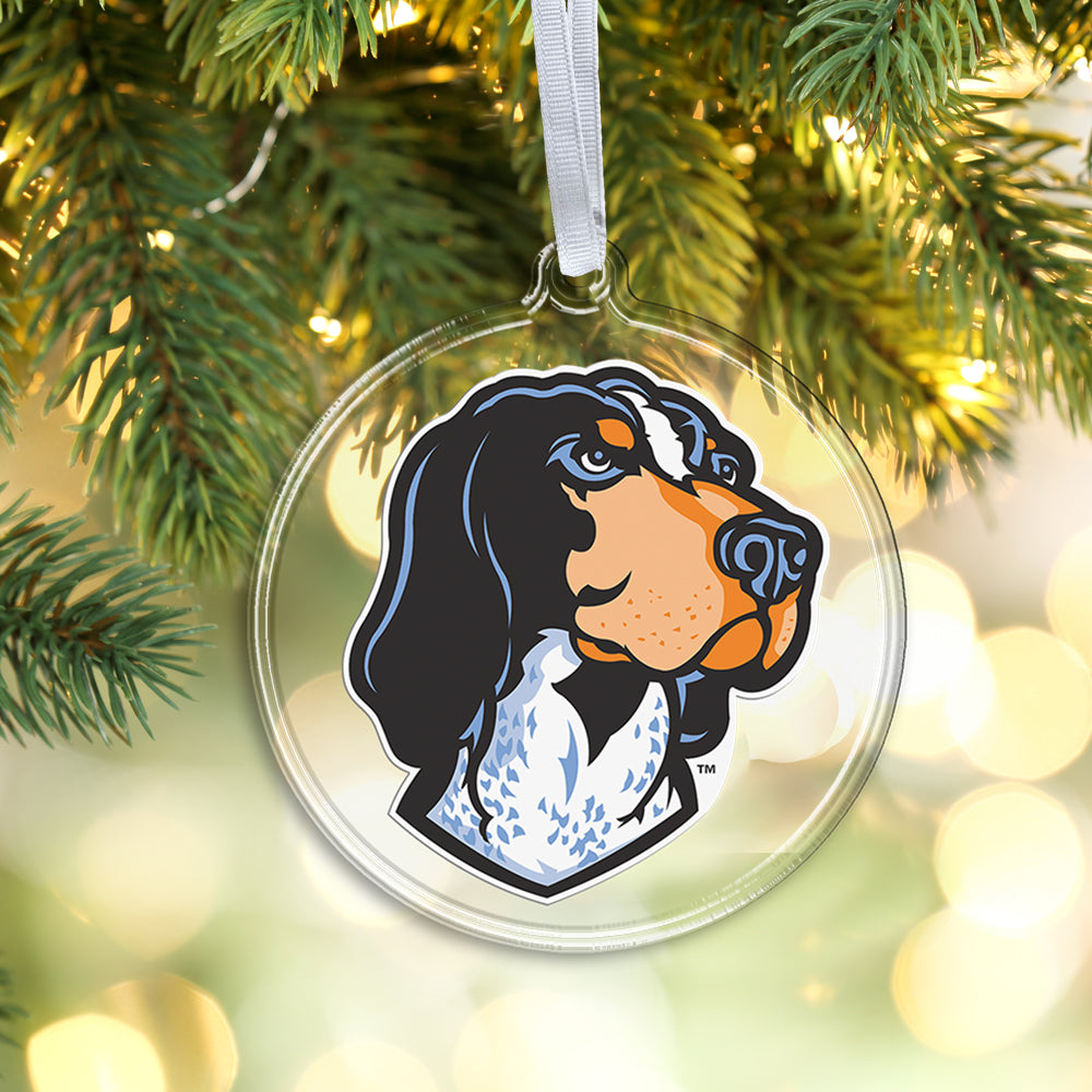 Tennessee Volunteers - Smokey's Head Bag Tag & Ornament