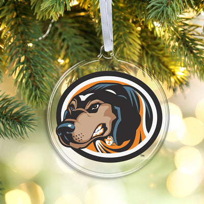 Tennessee Volunteers - Smokey's Head Bag Tag & Ornament