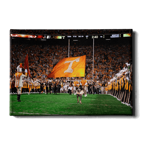 Tennessee Volunteers - Eyes on Tennessee - College Wall Art #Canvas