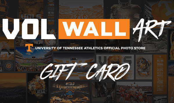 Vol Wall Art Gift Card