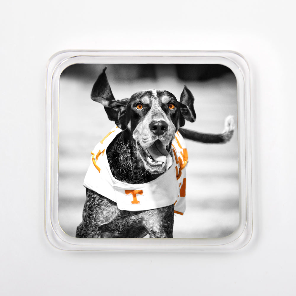 Tennessee Volunteers - Smokey Collection Set of 4 Drink Coasters