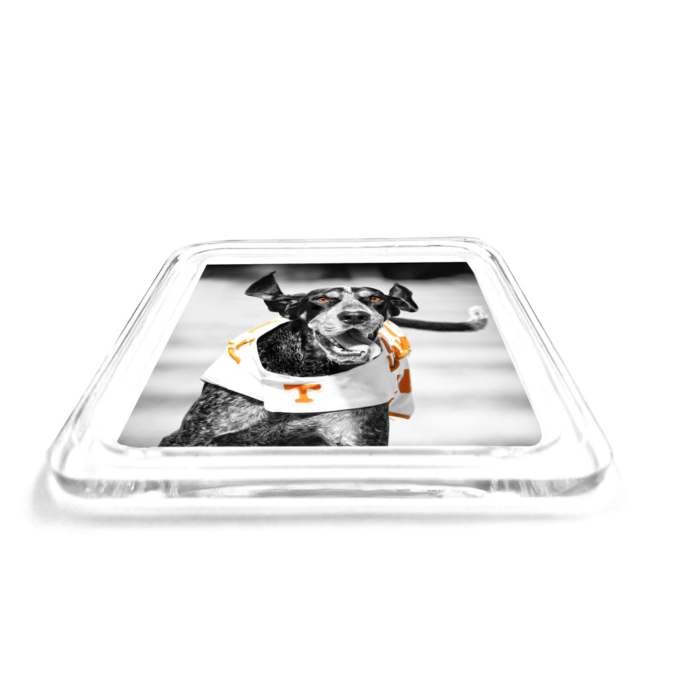 Tennessee Volunteers - Smokey TD Drink Coaster