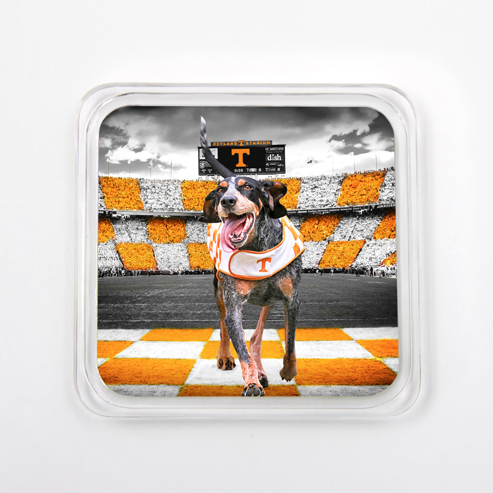 Tennessee Volunteers - Smokey Collection Set of 4 Drink Coasters