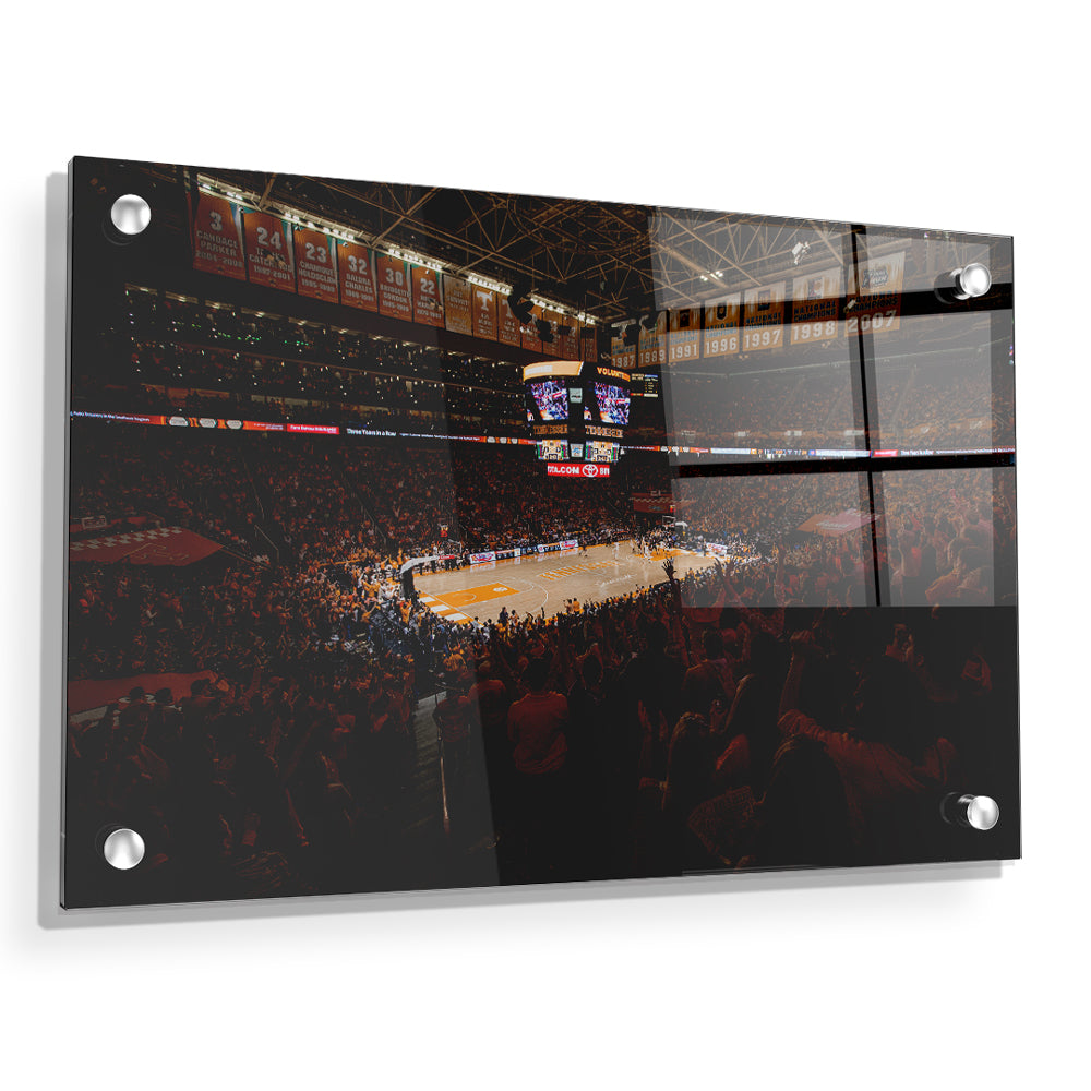 Tennessee Volunteers - Thompson-Boling B Ball - College Wall Art #Canvas