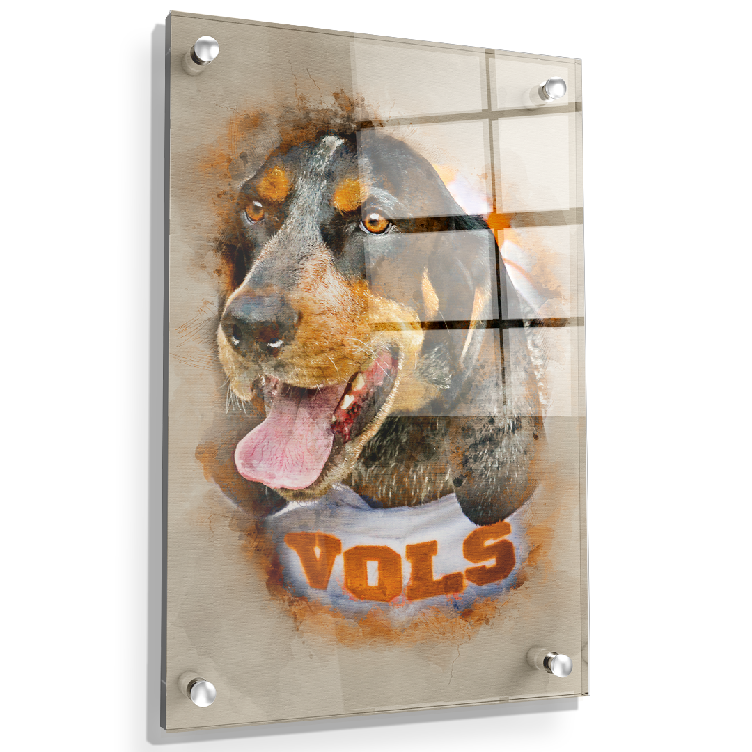 Tennessee Volunteers - Smokey Watercolor - College Wall Art #Canvas