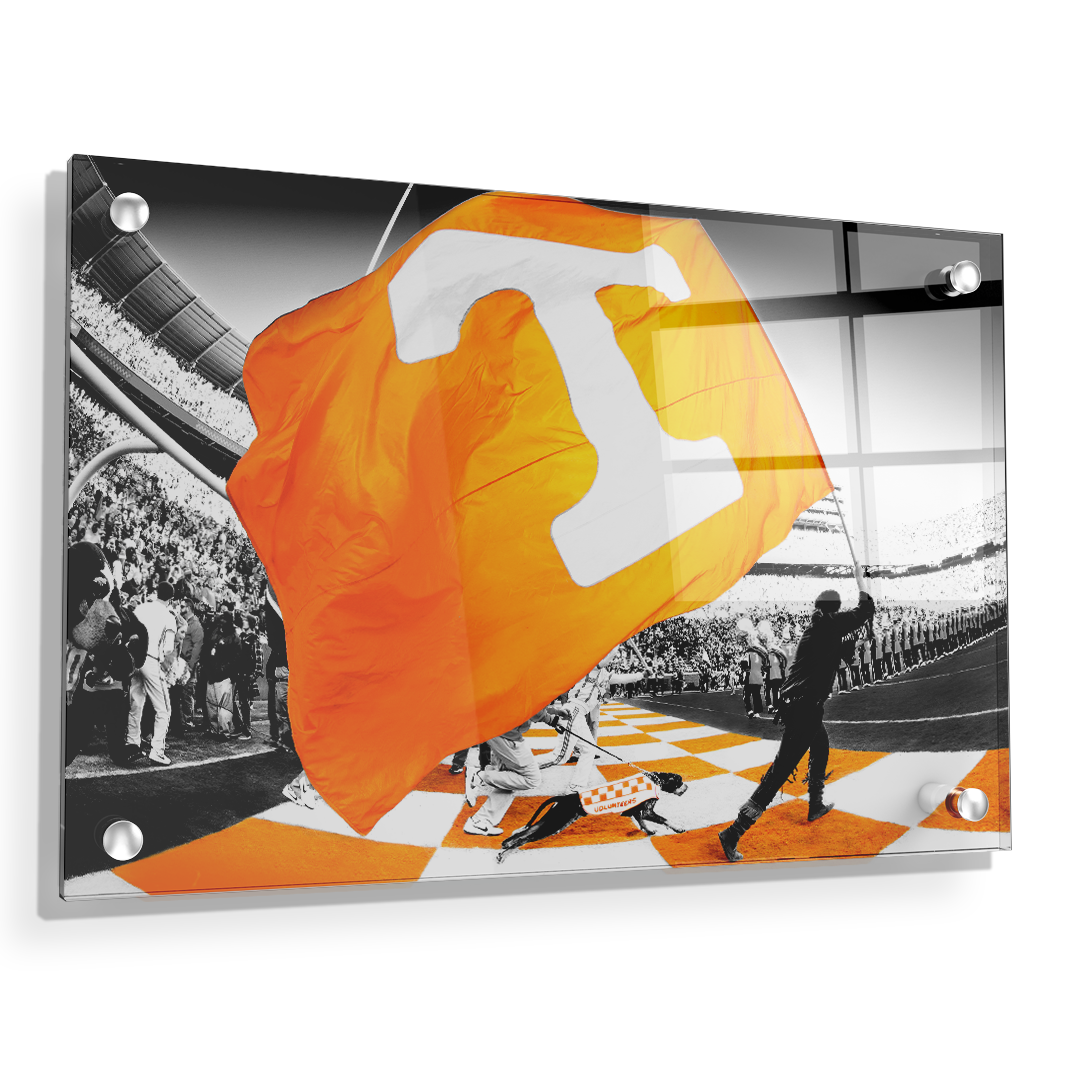 Tennessee Volunteers - Tennessee Pride - College Wall Art #Canvas