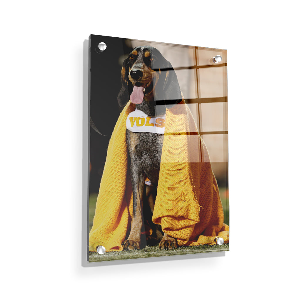 Tennessee Volunteers - Smokey's Blanket - College Wall Art #Canvas