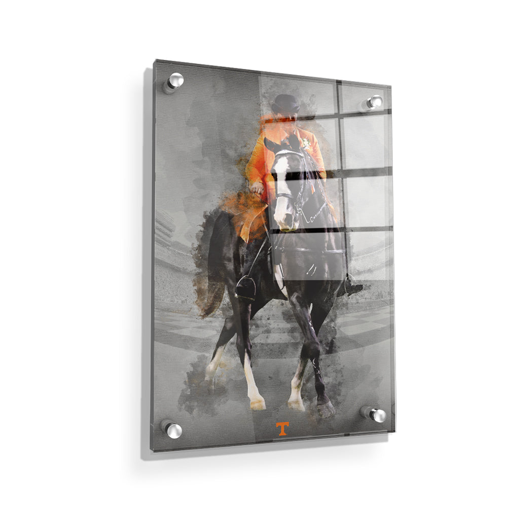 Tennessee Volunteers - TN Walking Horse - College Wall Art #Canvas