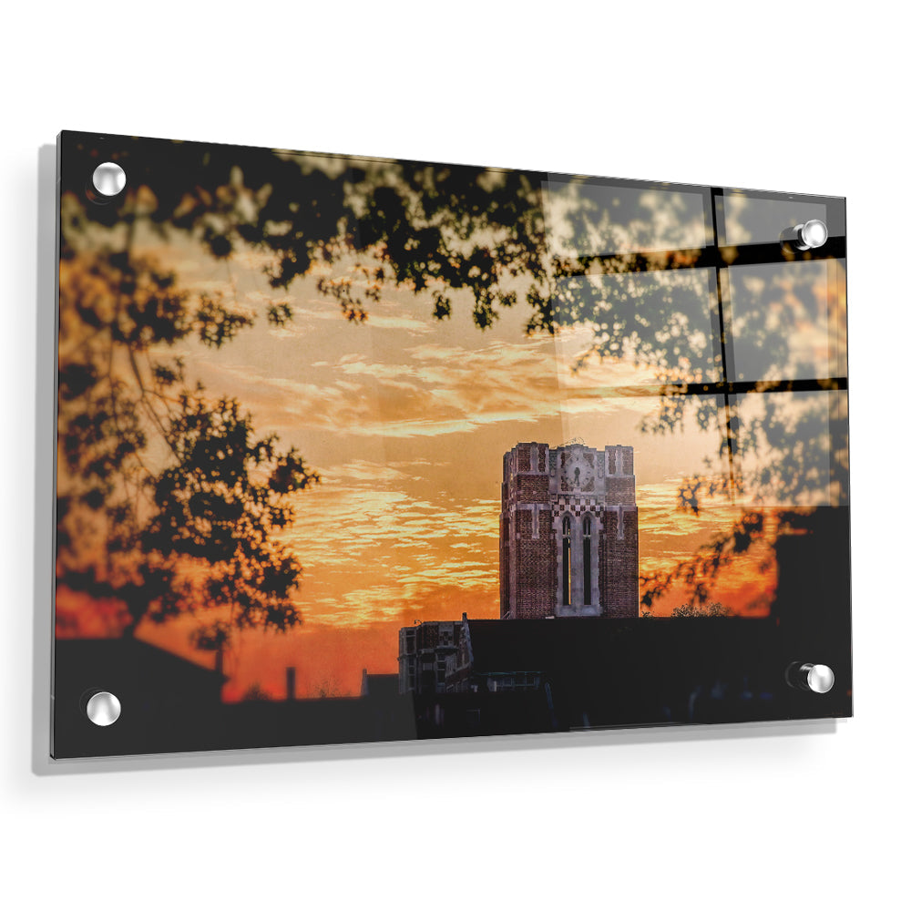 Tennessee Volunteers - Ayres Blaze - College Wall Art #Canvas