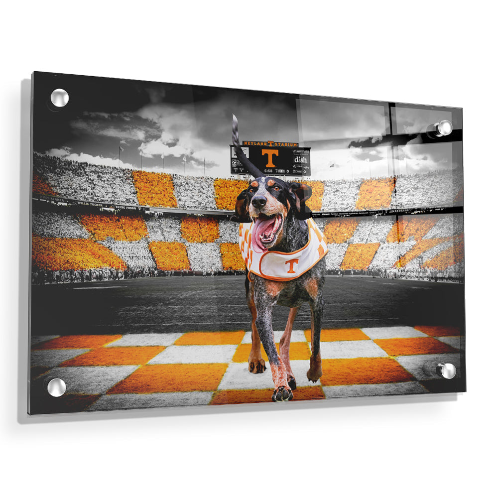 Tennessee Volunteers - Smokey's Backyard - College Wall Art #Canvas