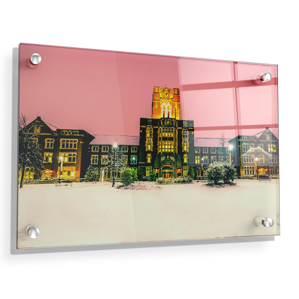 Tennessee Volunteers - Snowy Ayres - College Wall Art #Canvas