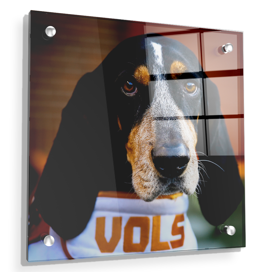 Tennessee Volunteers - TN Smokey Vols - College Wall Art #Canvas