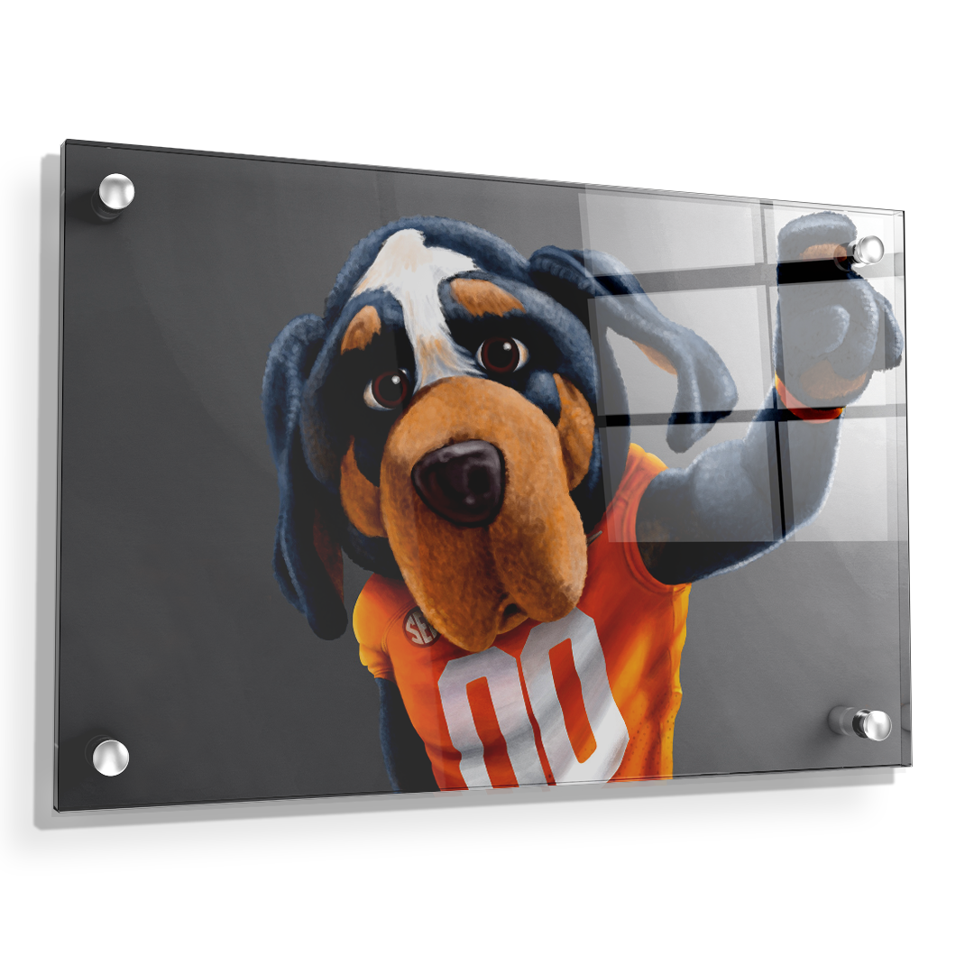 Tennessee Volunteers - Smokey - College Wall Art #Canvas