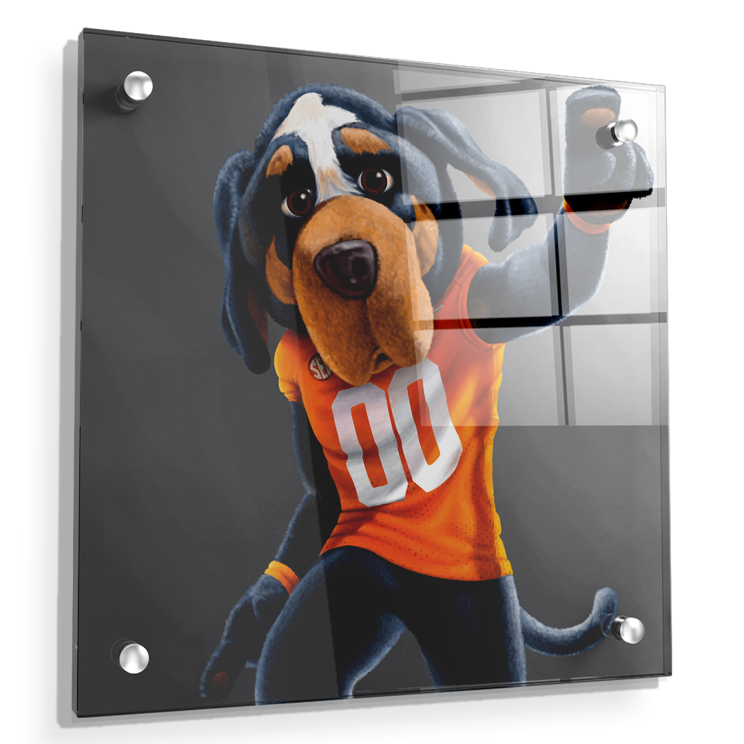 Tennessee Volunteers - Smokey - College Wall Art #Canvas