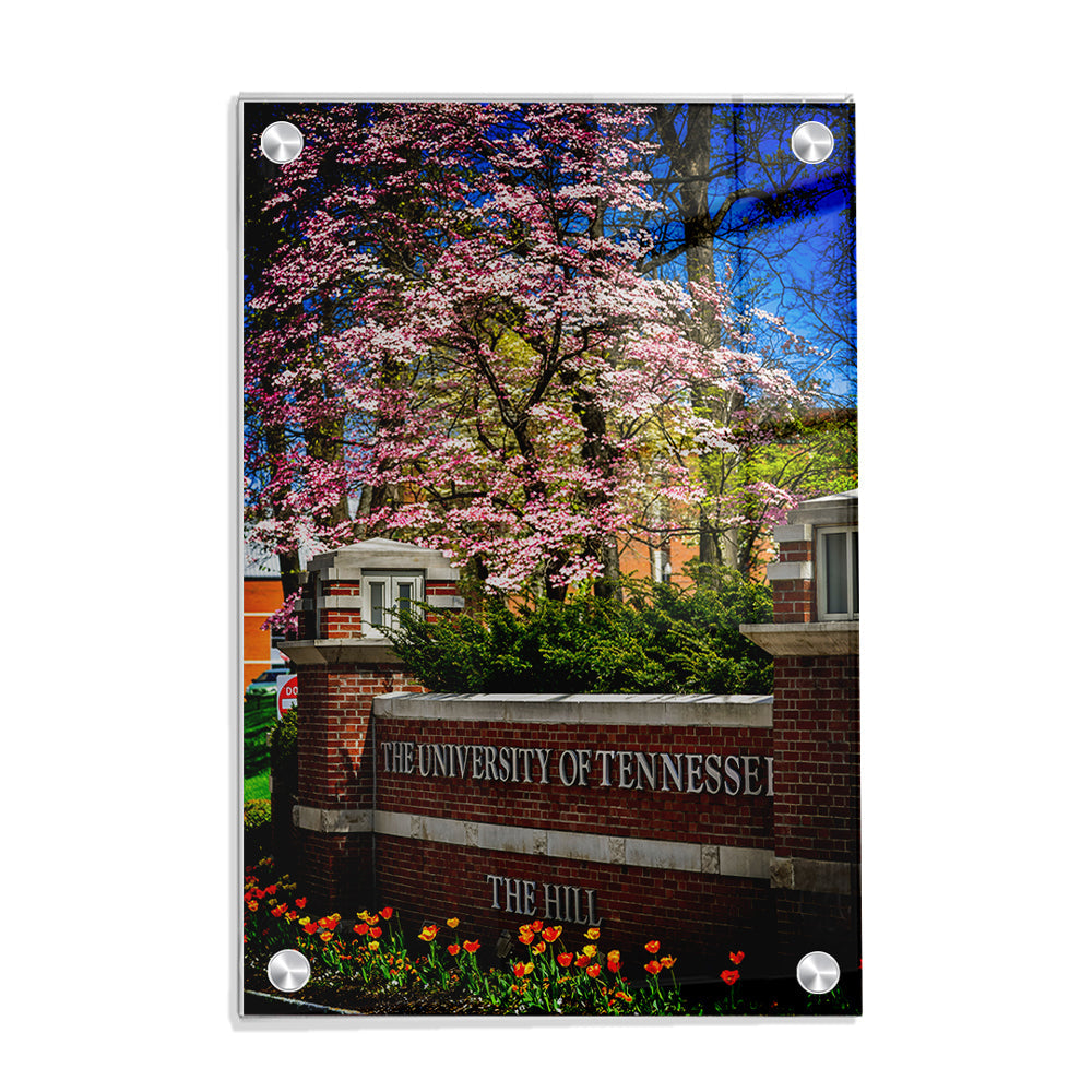 Tennessee Volunteers - Spring on the Hill - College Wall Art #Canvas