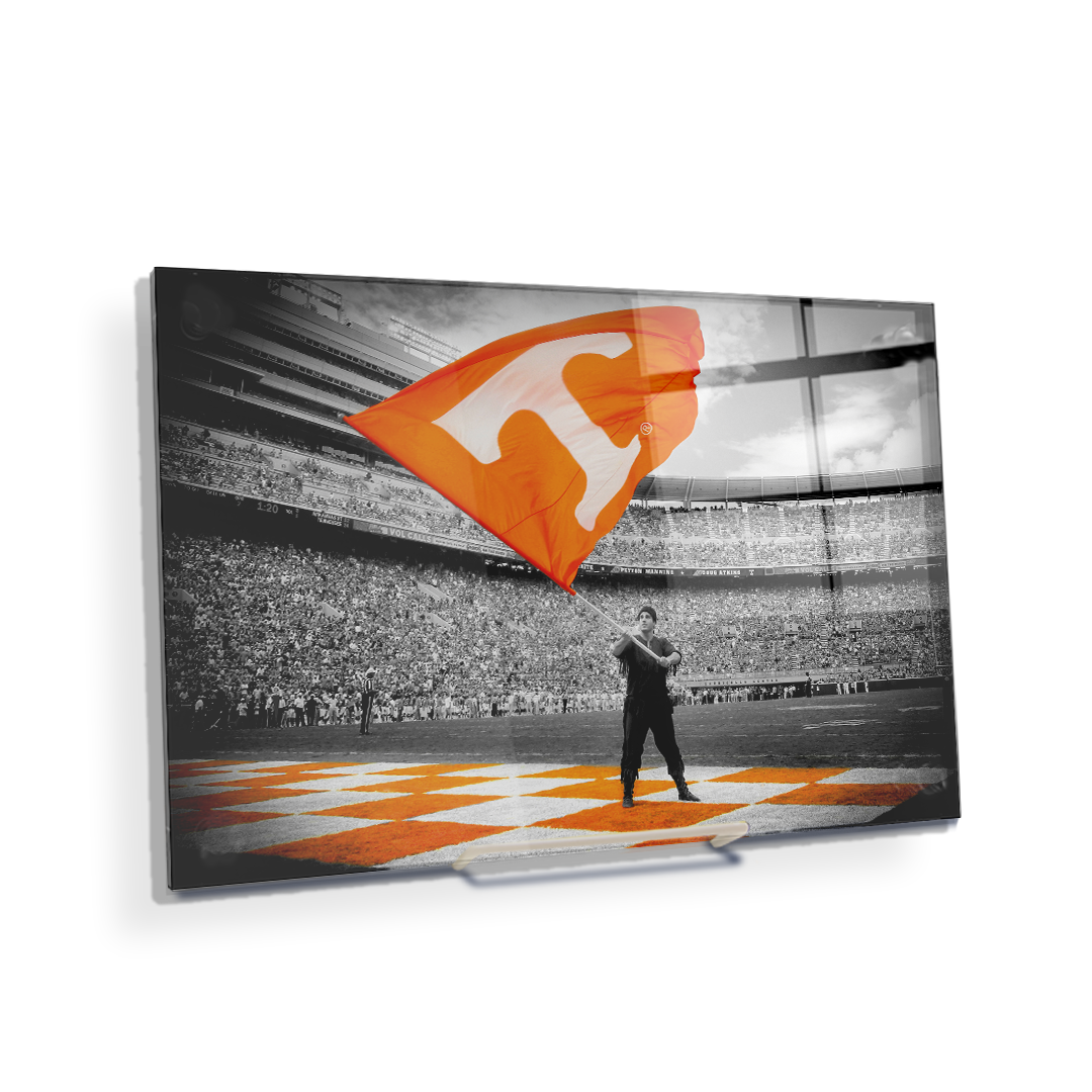 Tennessee Volunteers - Volunteer BWO - Vol Wall Art