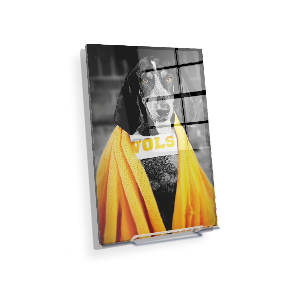 Tennessee Volunteers - Jedi Smokey - College Wall Art #Canvas