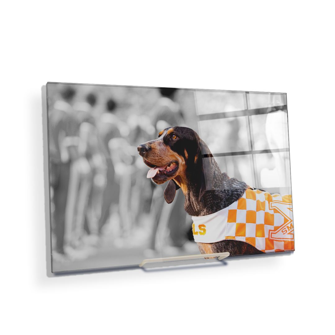 Tennessee Volunteers - Smokey X - College Wall Art #Canvas