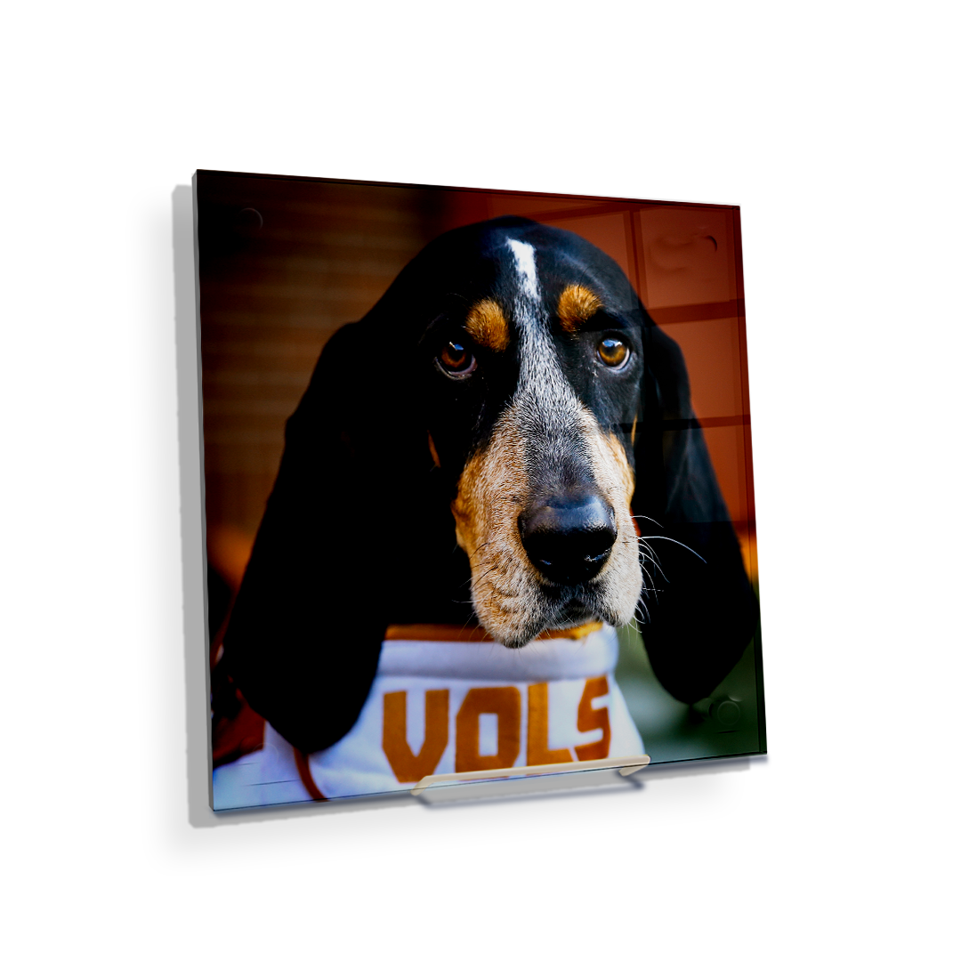 Tennessee Volunteers - TN Smokey Vols - College Wall Art #Canvas