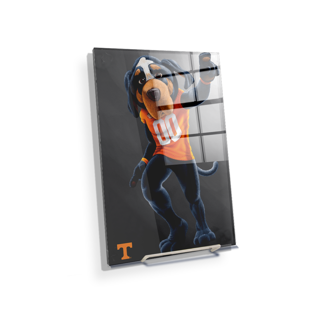 Tennessee Volunteers - Smokey - College Wall Art #Canvas