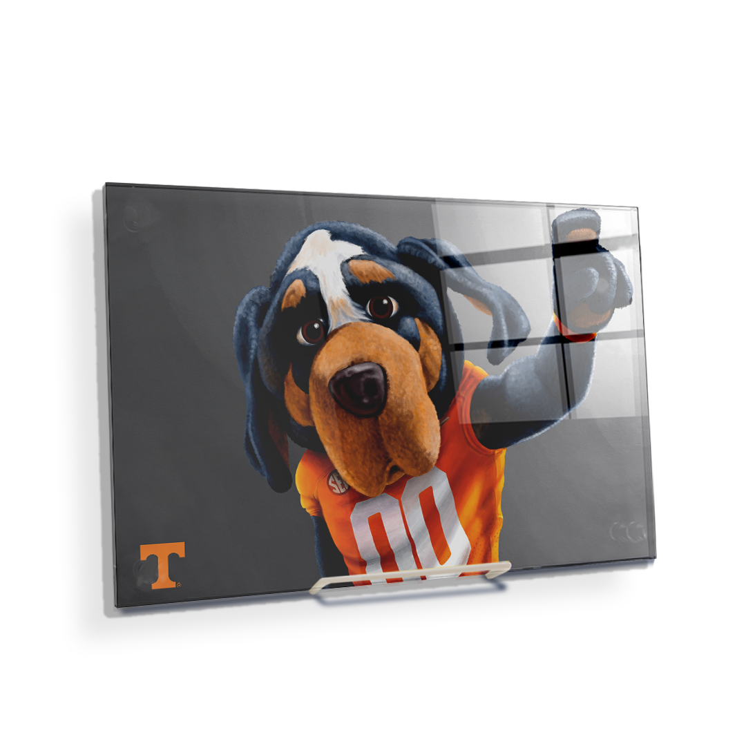 Tennessee Volunteers - Smokey - College Wall Art #Canvas