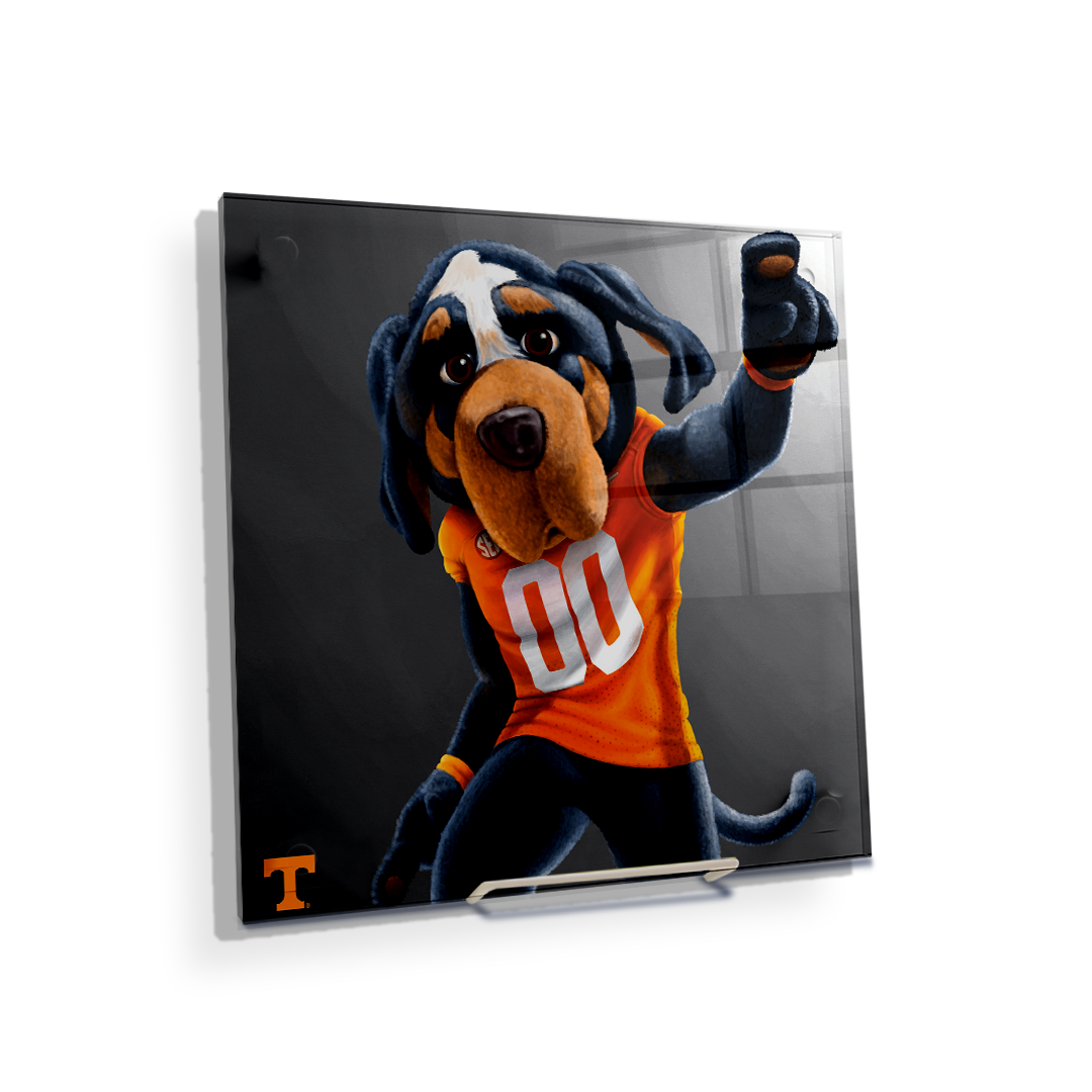 Tennessee Volunteers - Smokey - College Wall Art #Canvas