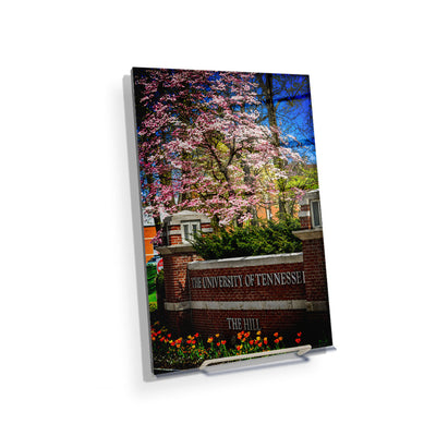 Tennessee Volunteers - Spring on the Hill - College Wall Art #Acrylic Mini